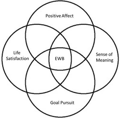 Brain imaging studies of emotional well-being: a scoping review